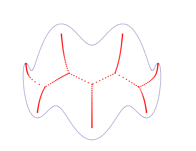 Discretised skeleton of a wavy shape
