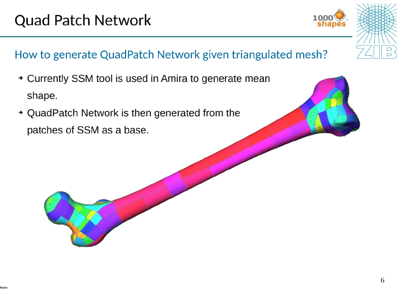 Femur with colour-coded QuadPatch network overlaid